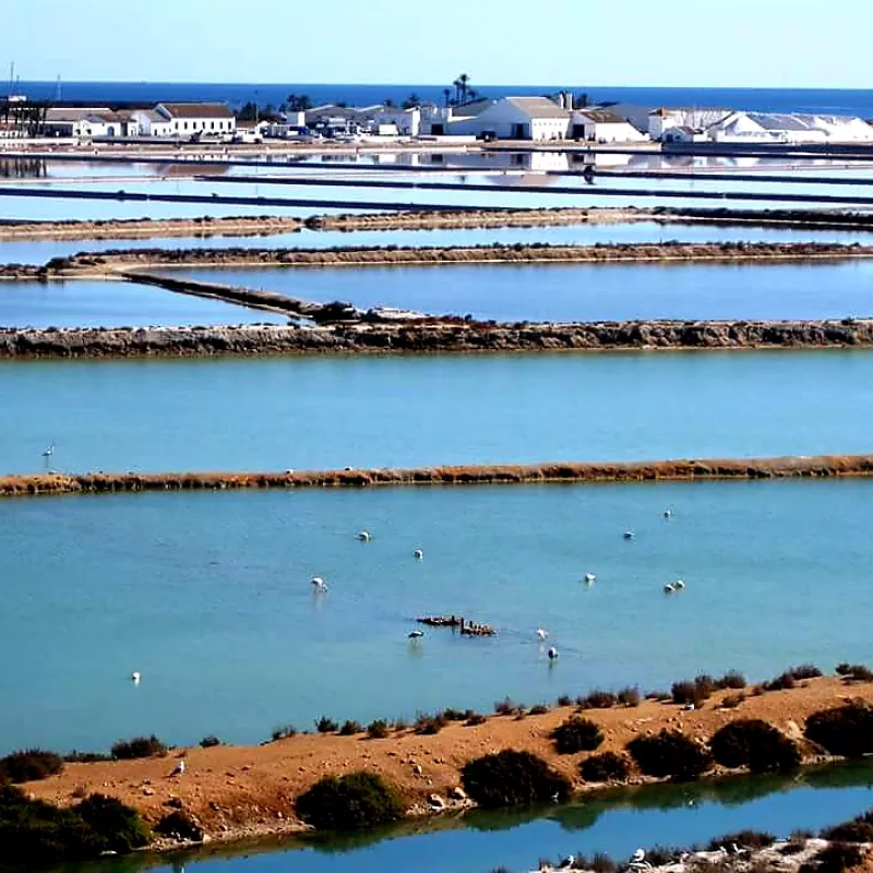 Disfrute de los lodos del mar menor a escasos metros